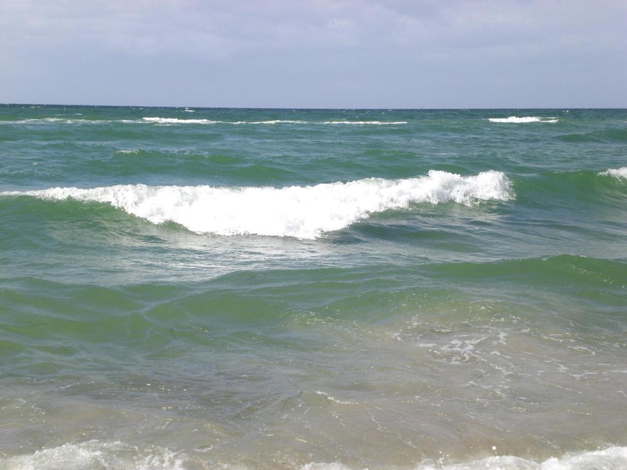 Achtern - Diek - Am Strand ツィングシュト エクステリア 写真